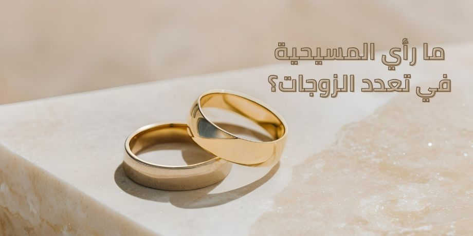 صورة تحتوى على دبلتين